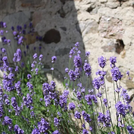 Frühstückspension Moulin Des Borderies