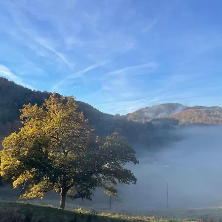 Moulin Des Borderies Frühstückspension Singles