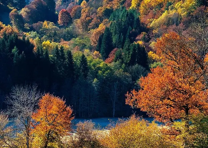 Bed & Breakfast Moulin Des Borderies 3*